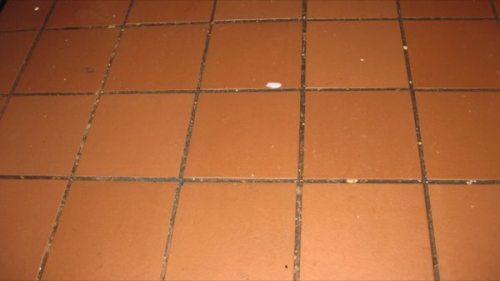 Dirty-Floor-Close-Up